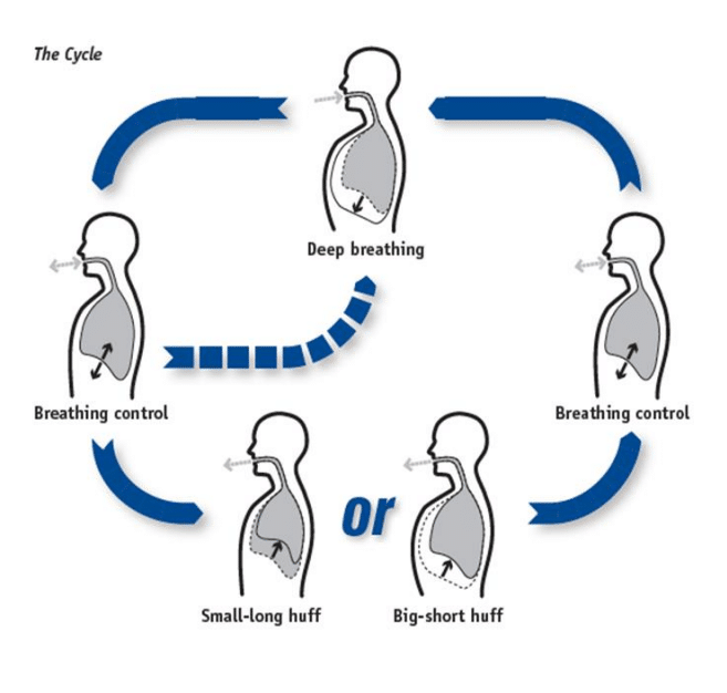 COVID & The Active Cycle of Breathing Techniques (ACBT)